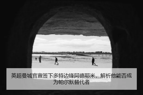 英超曼城官宣签下多特边锋阿德耶米，解析他能否成为帕尔默替代者