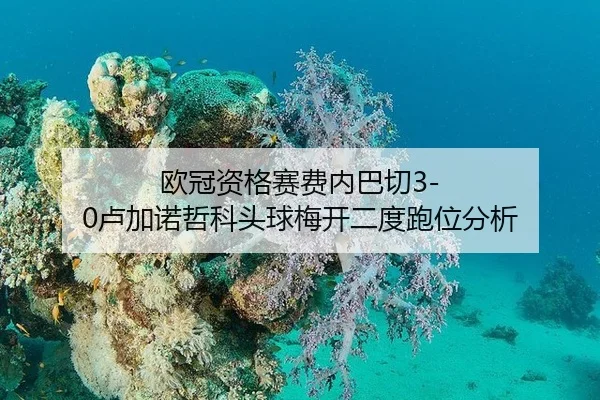 ou-guan-zi-ge-sai-fei-nei-ba-qie-lu-jia-nuo-zhe-ke-tou-qiu-mei-kai-er-du-pao-wei-fen-xi-3-284.jpg