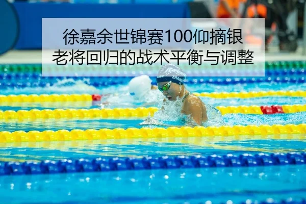 xu-jia-yu-shi-jin-sai-yang-zhai-yin-lao-jiang-hui-gui-de-zhan-shu-ping-heng-yu-tiao-zheng-2-811.jpg