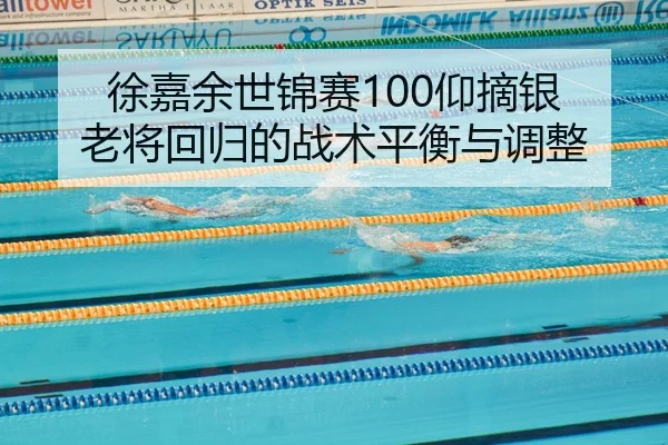 xu-jia-yu-shi-jin-sai-yang-zhai-yin-lao-jiang-hui-gui-de-zhan-shu-ping-heng-yu-tiao-zheng-3-957.jpg